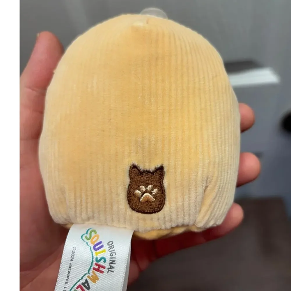 Squishmallows NWT Doy Toys Set of 2 Emily Latte Deja Donut Squeak Crinkle Plush